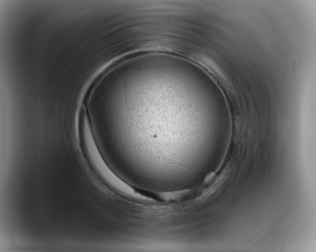 X0000088180788200705291951