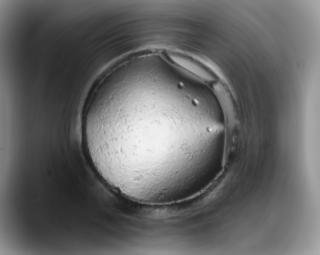 X0000088180791200705291951