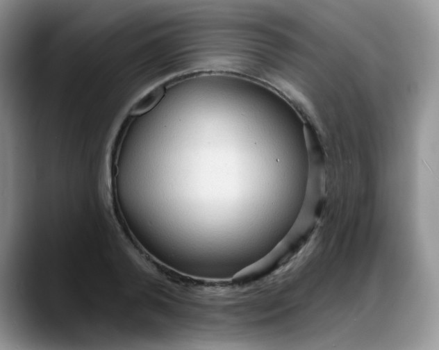 X0000088180792200705291951