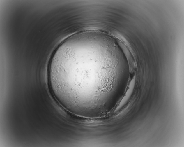 X0000088180795200705291951