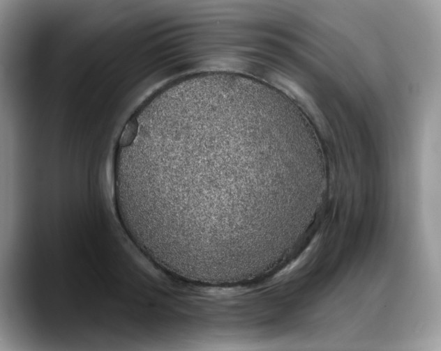 X0000088180796200705291951