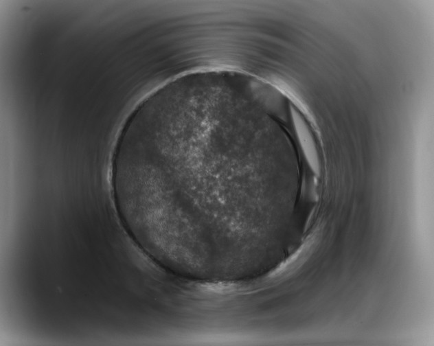 X0000088180797200705291951