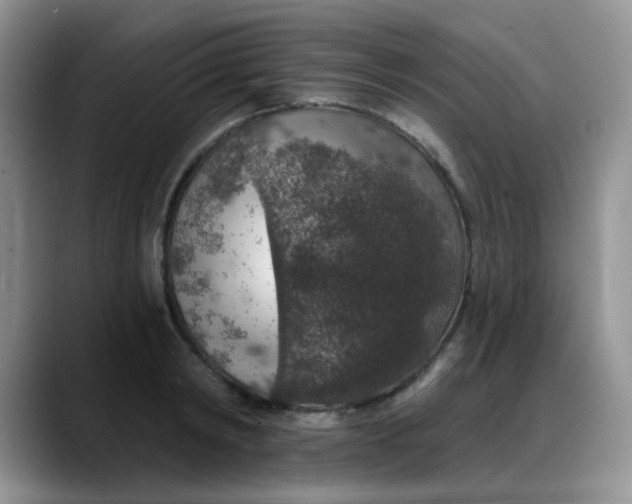 X0000088180798200705291951