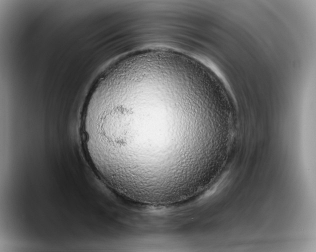 X0000088180799200705291951