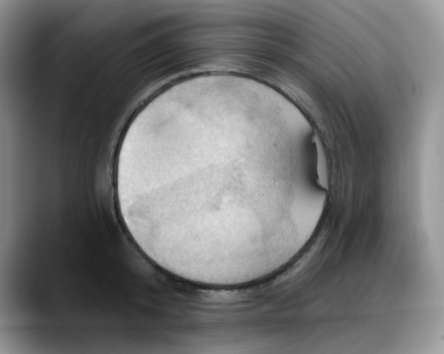 X0000088180800200705291951