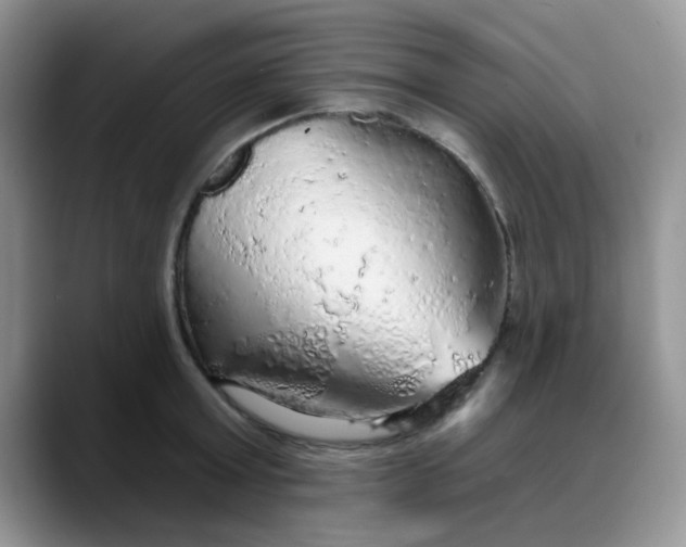 X0000088180803200705291951