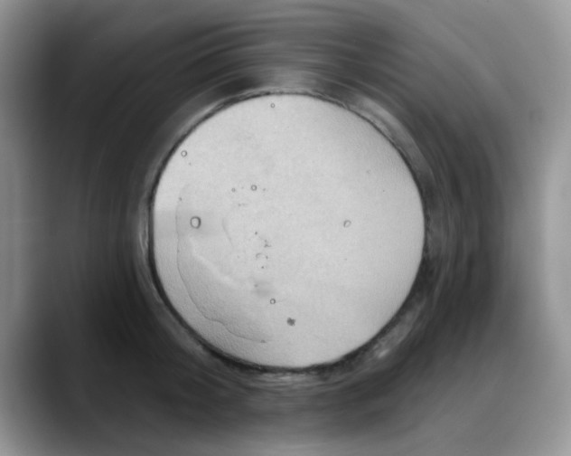 X0000088180804200705291951