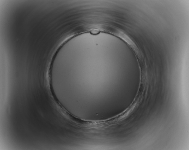 X0000088180806200705291951