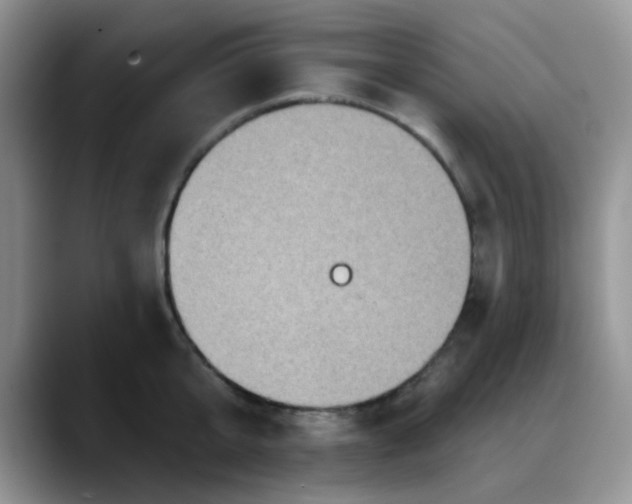 X0000088180807200705291951