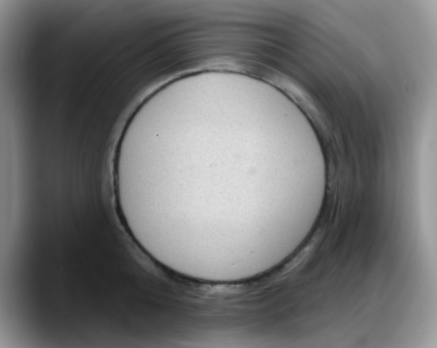 X0000088180808200705291950