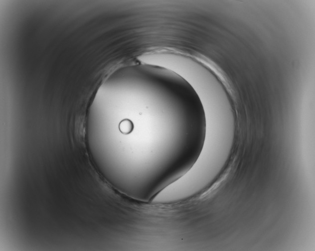 X0000088180809200705291950