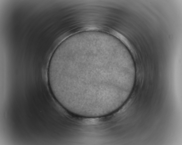 X0000088180810200705291950