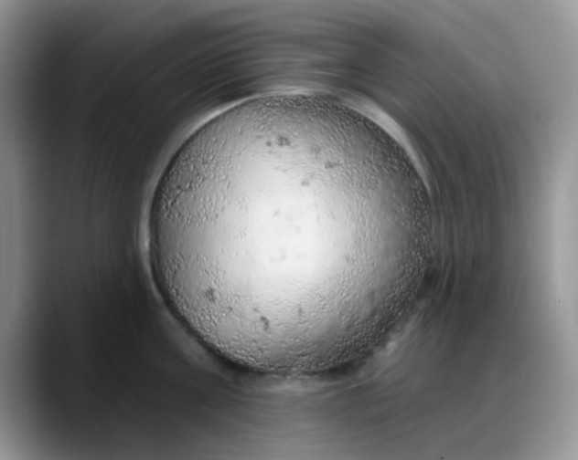 X0000088180811200705291950