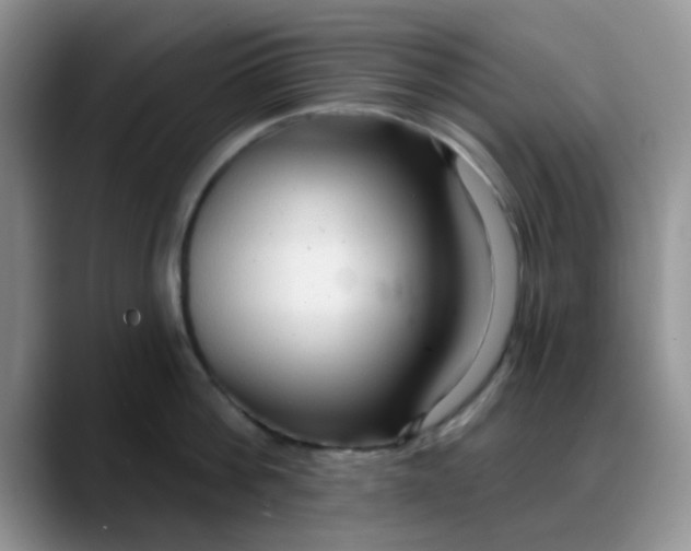 X0000088180812200705291950