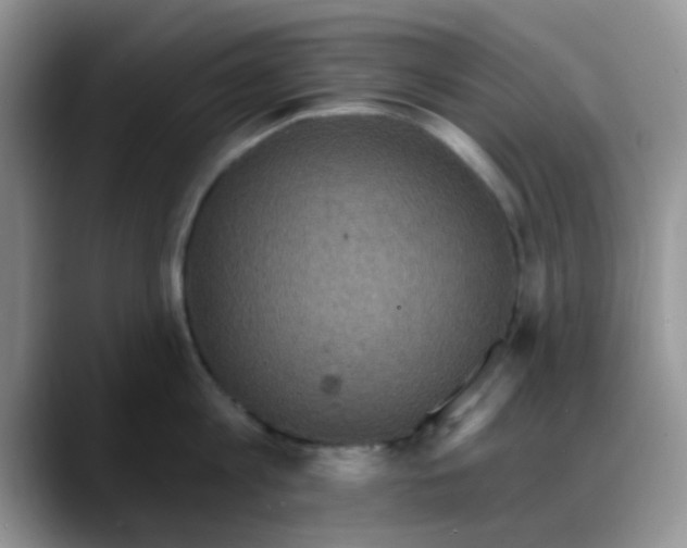 X0000088180813200705291950