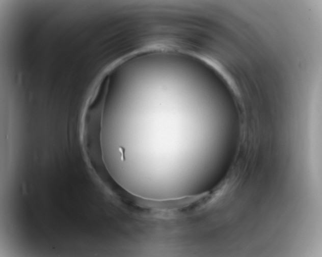 X0000088180815200705291950