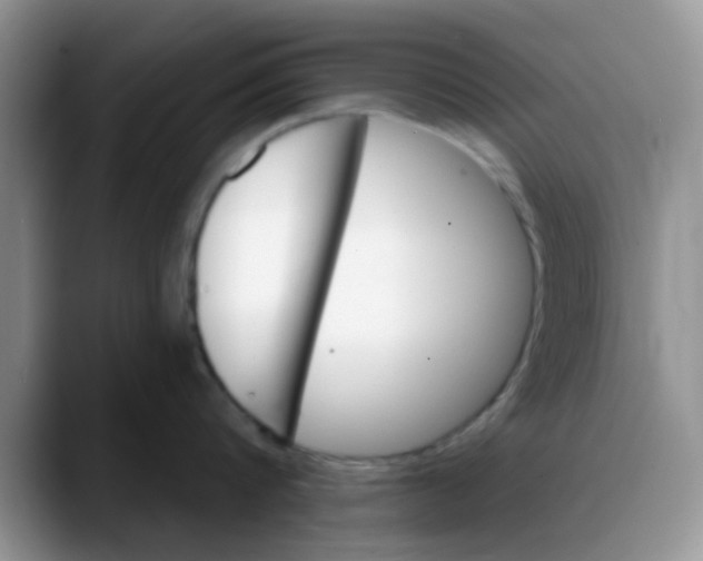 X0000088180816200705291950