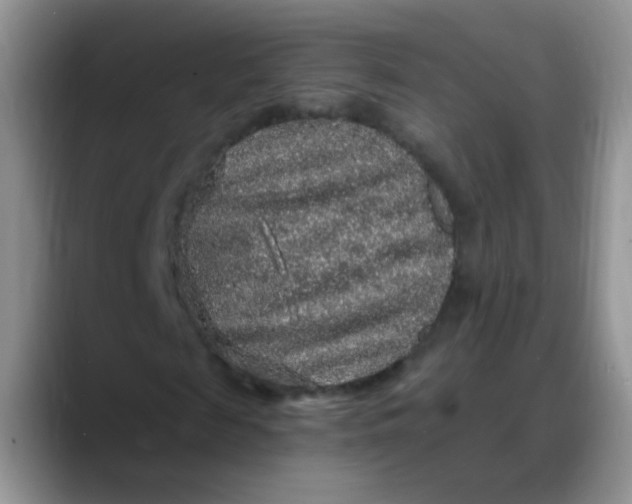 X0000088180817200705291950