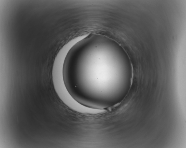 X0000088180818200705291950