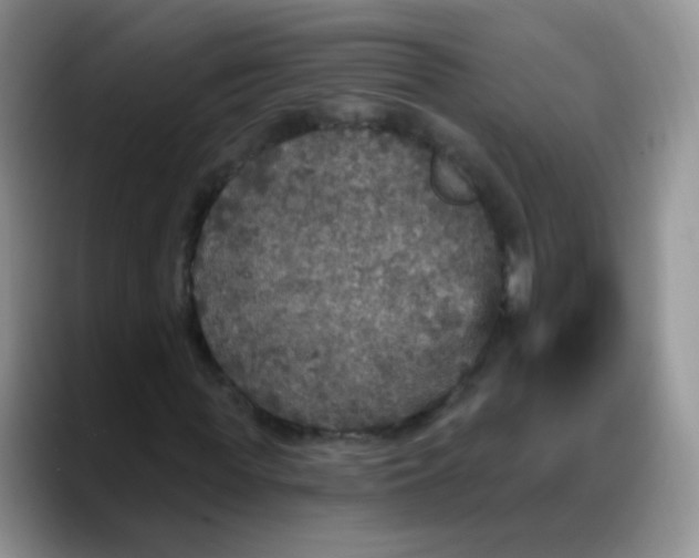 X0000088180819200705291950