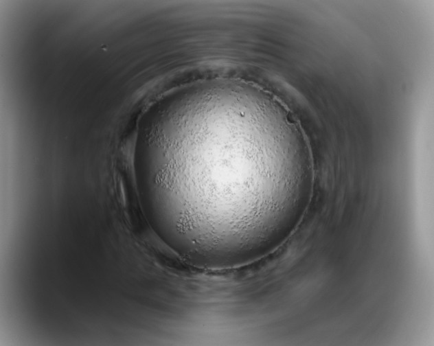 X0000088180821200705291950