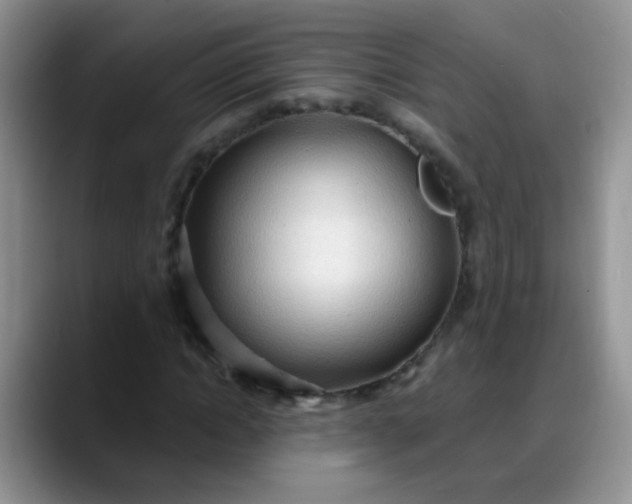 X0000088180822200705291950