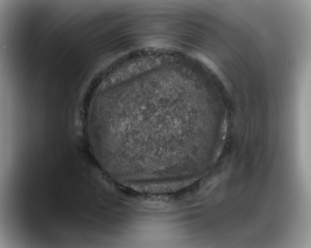 X0000088180823200705291950