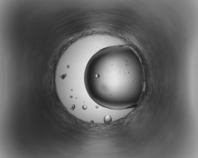 X0000088180824200705291950