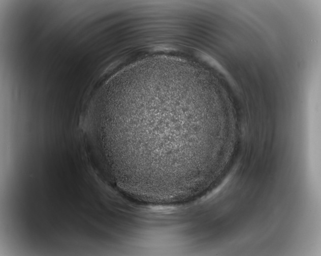 X0000088180825200705291950