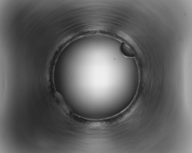 X0000088180826200705291950