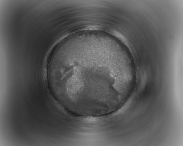 X0000088180827200705291950