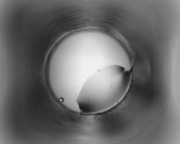 X0000088180828200705291950