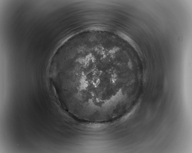 X0000088180829200705291950