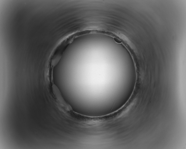 X0000088180830200705291950