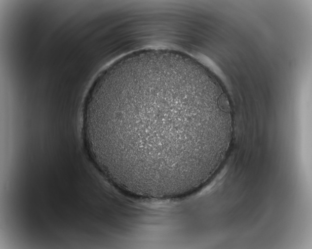 X0000088180831200705291950