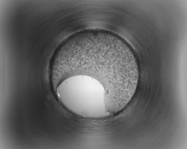 X0000088180832200705291950