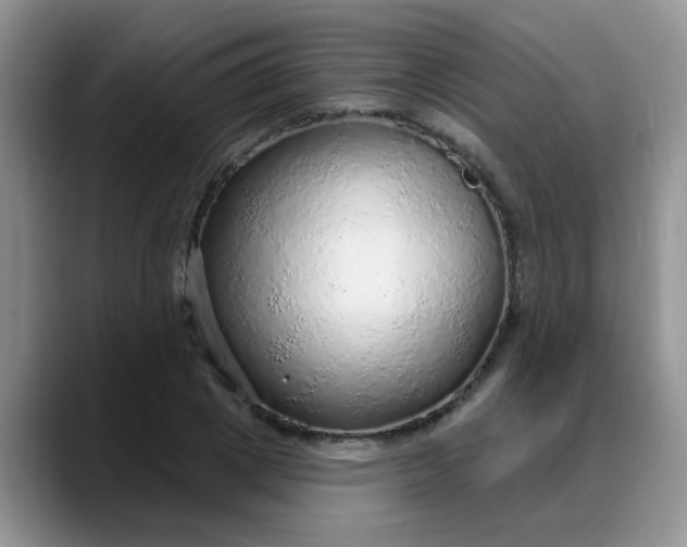 X0000088180833200705291950