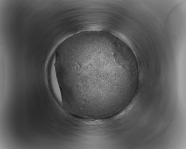 X0000088180835200705291950