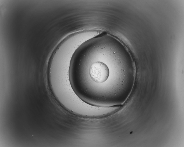 X0000088180836200705291950