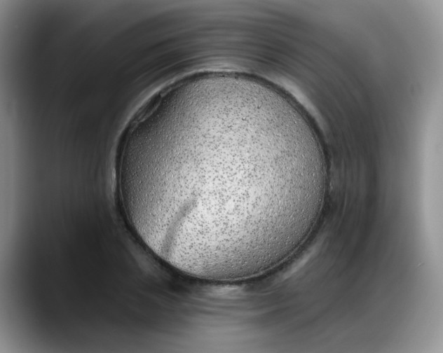 X0000088180837200705291950