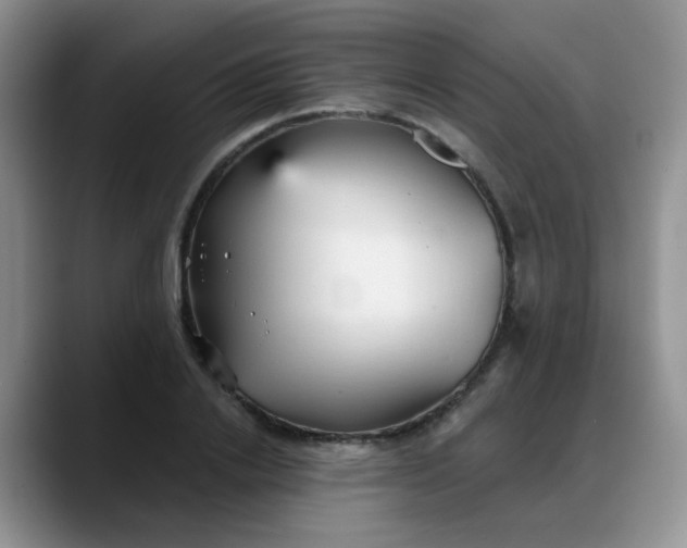 X0000088180838200705291950