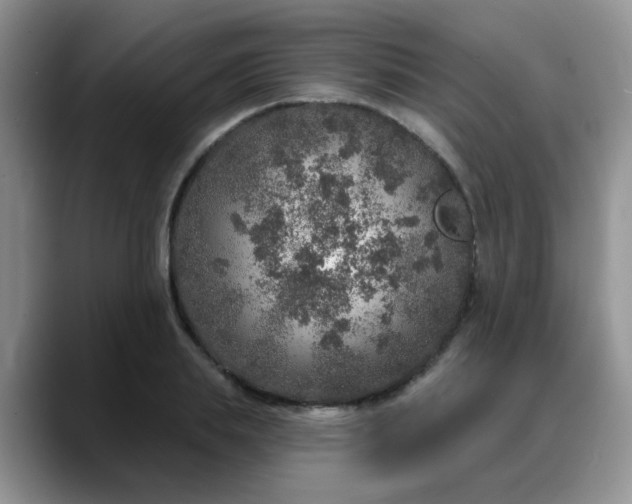 X0000088180839200705291950