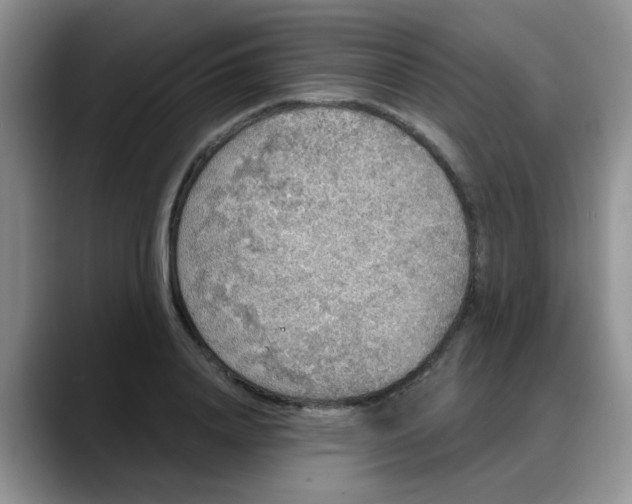 X0000088180840200705291950