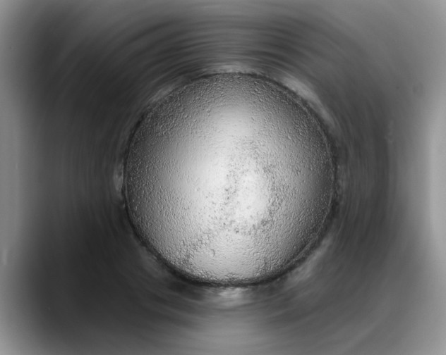 X0000088180841200705291950