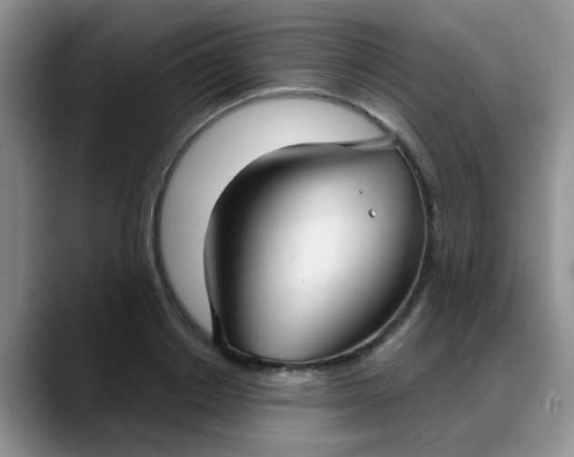 X0000088180842200705291950