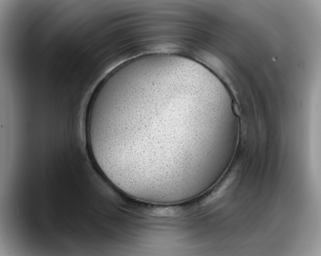 X0000088180843200705291950