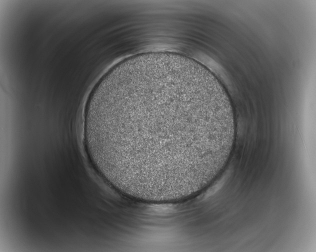 X0000088180844200705291950