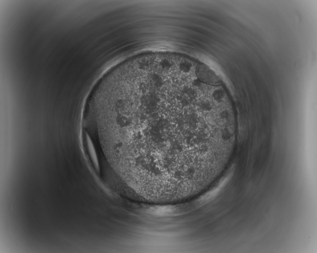 X0000088180845200705291950