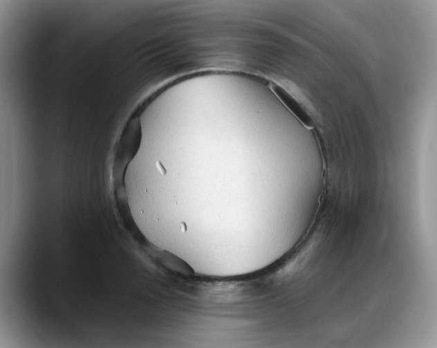 X0000088180846200705291950