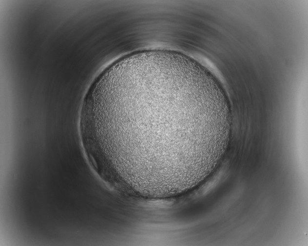 X0000088180847200705291950